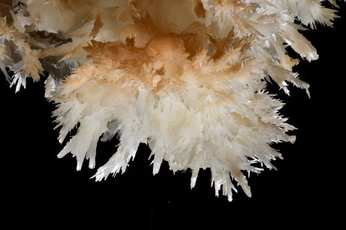 Grotte de Limousis (Aude) - Le lustre (détail d'aguilles d'aragonite)(SP-21-0830)